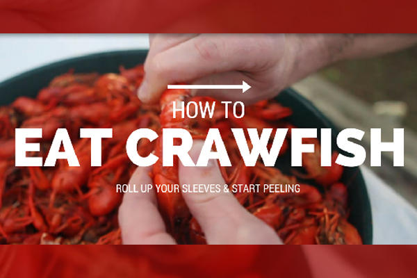 How to Eat Boiled Crawfish